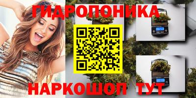 стаф Пенза